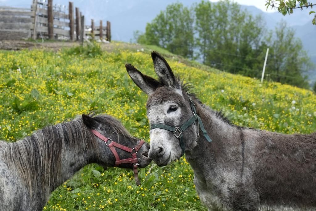 Christernhof Villa Maria Alm am Steinernen Meer Buitenkant foto