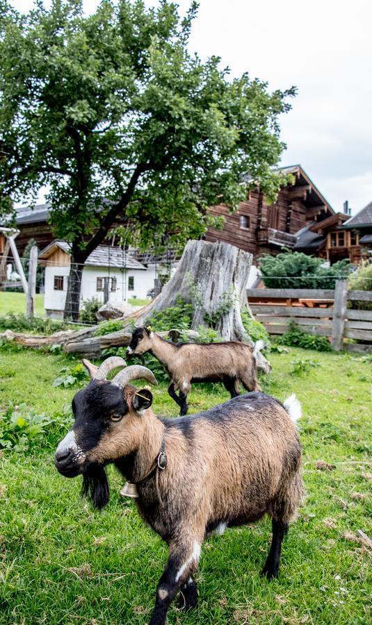 Christernhof Villa Maria Alm am Steinernen Meer Buitenkant foto