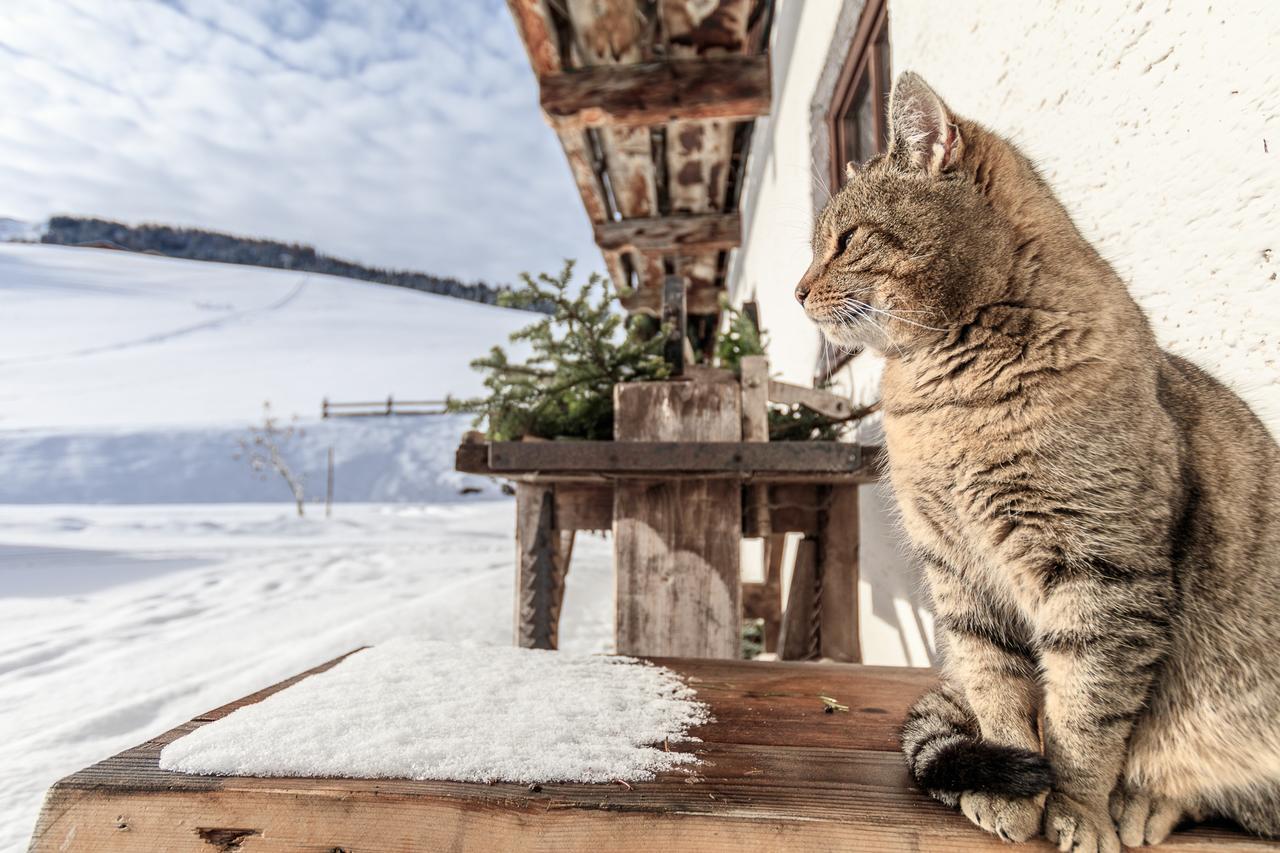 Christernhof Villa Maria Alm am Steinernen Meer Buitenkant foto