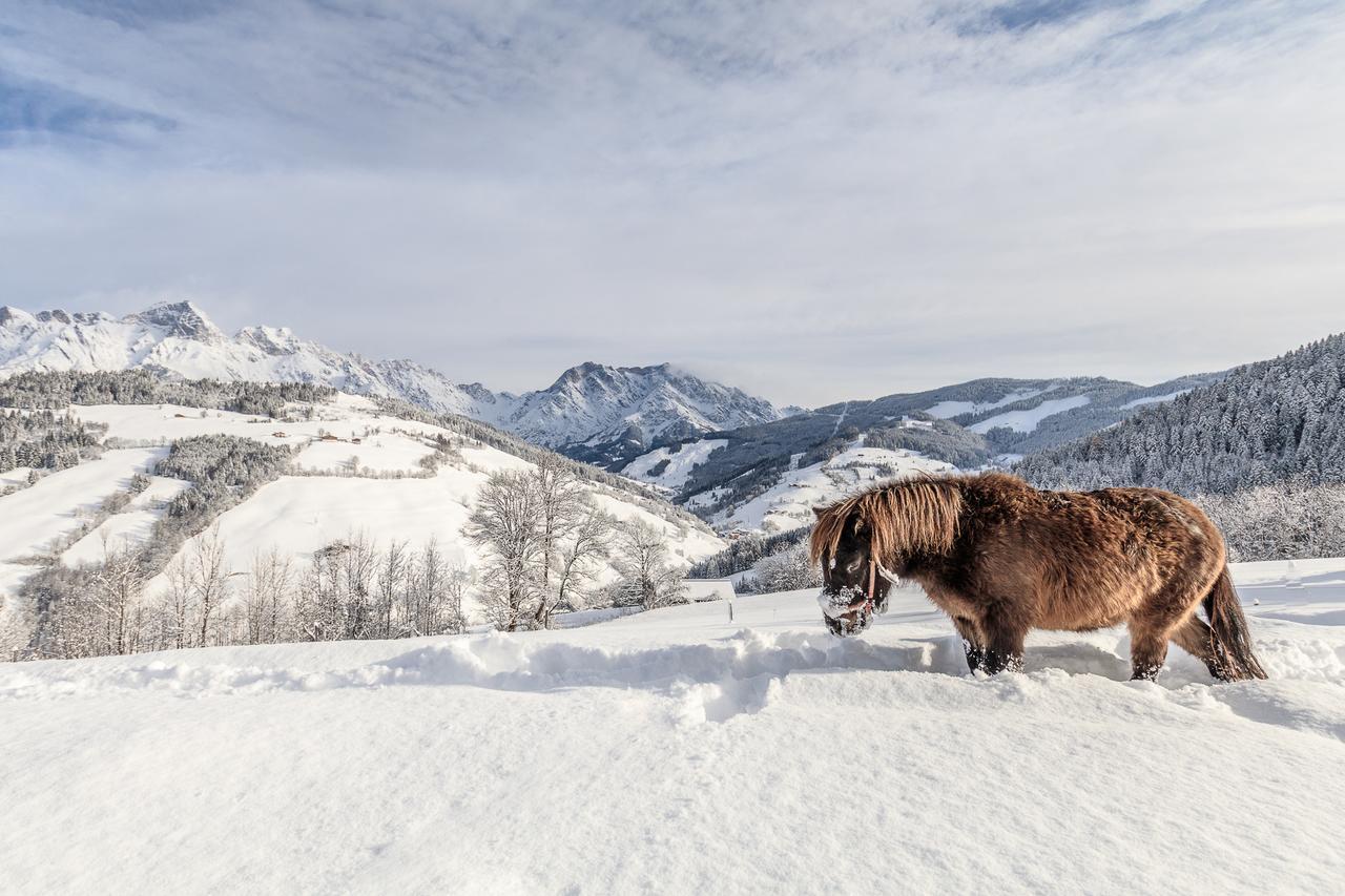 Christernhof Villa Maria Alm am Steinernen Meer Buitenkant foto